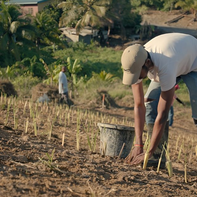 Building on Vetiver!
