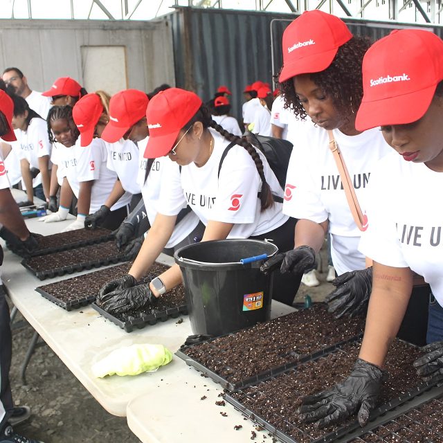 Scotiabank United Way National Day of Caring 2024